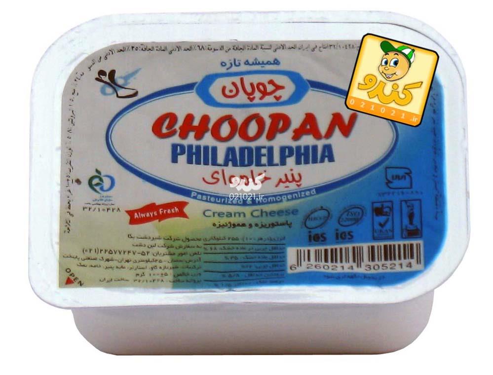 تصویر بزرگ‌شده پنیر خامه ای 100 گرمی چوپان