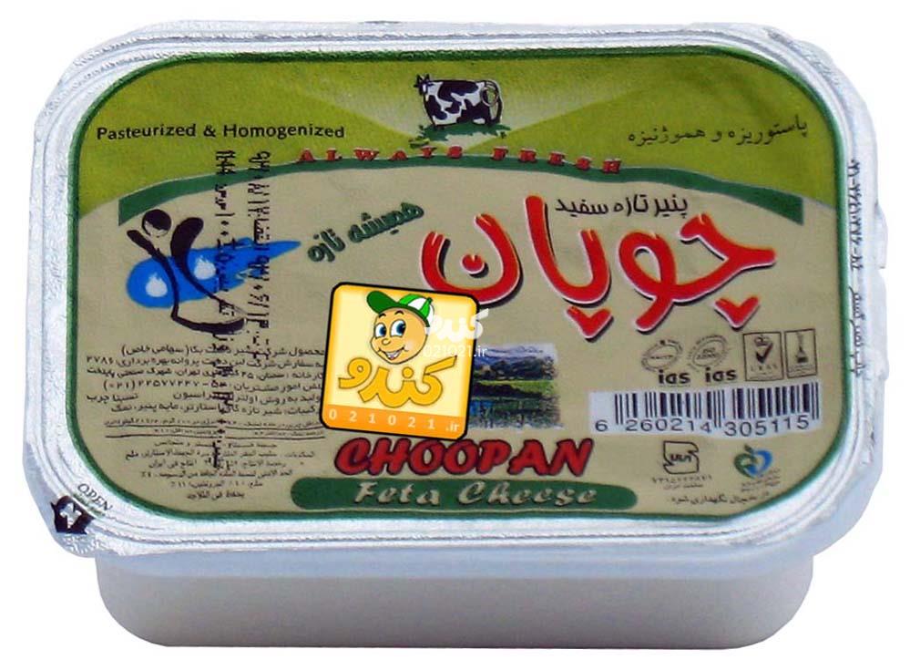 تصویر بزرگ‌شده پنیر سفید 100 گرمی چوپان