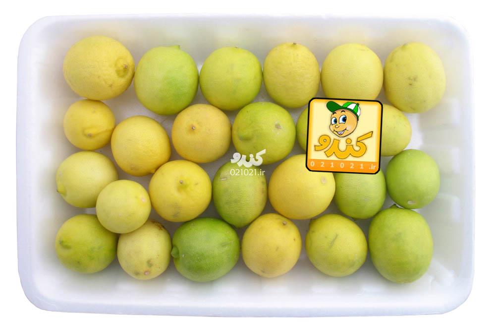 تصویر بزرگ‌شده لیمو ترش شیرازی 1000 گرمی کندو تحویل 2 ساعت بعد