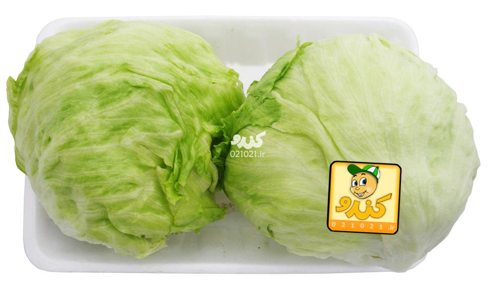 تصویر بزرگ‌شده کاهو پیچ کیلویی کندو تحویل 2 ساعت بعد