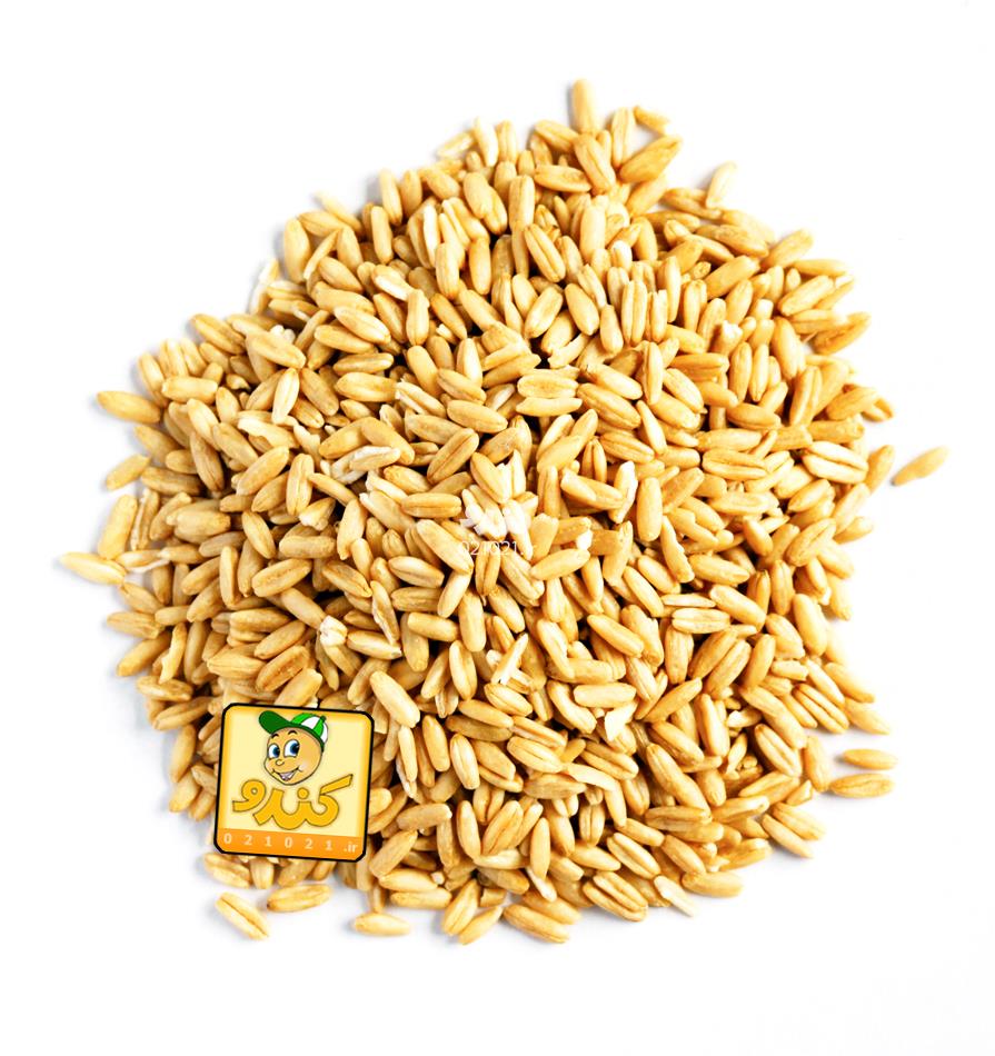 تصویر بزرگ‌شده جو دوسر 200 گرمی مرقوب